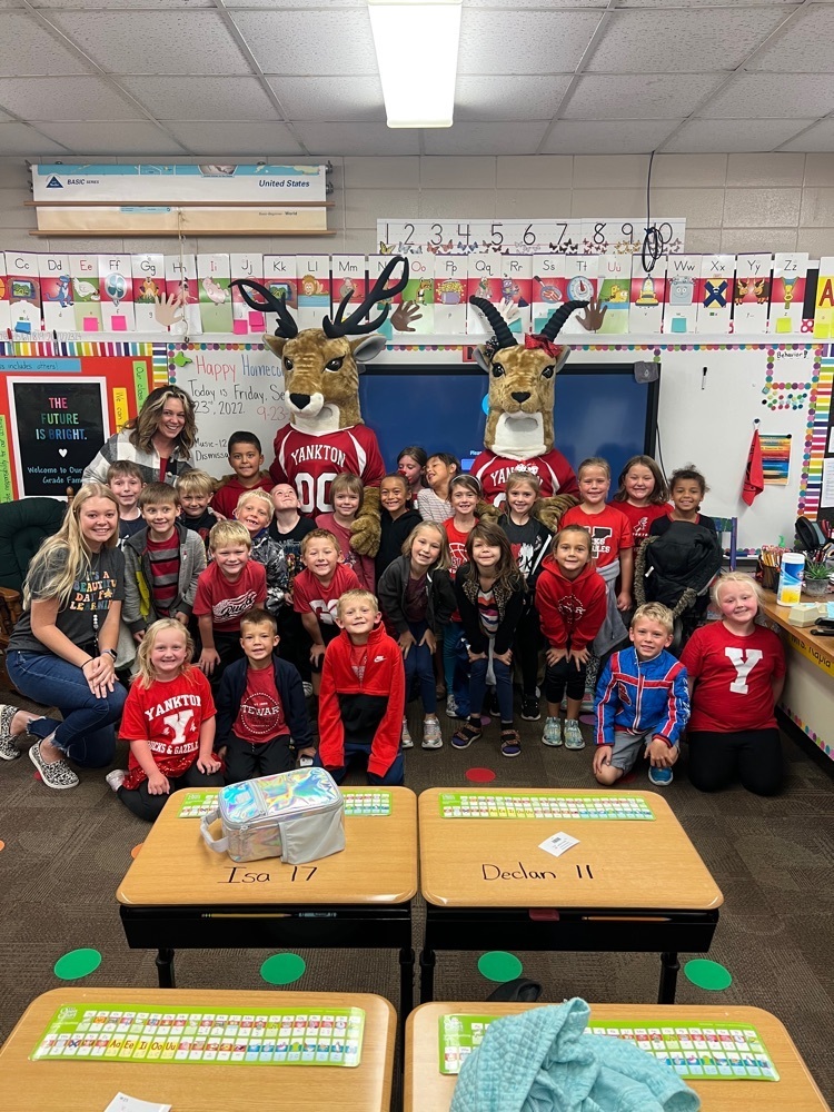 Kapla 1st grade