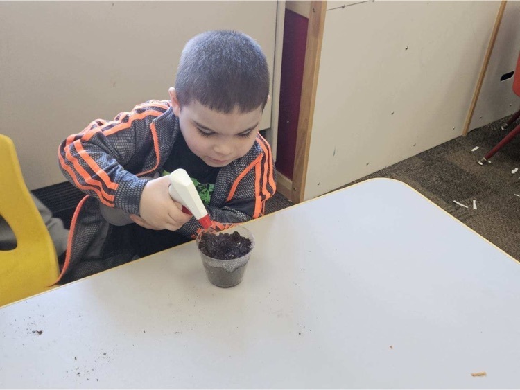 Webster preschoolers with Mr. Schmitz planted sunflower seeds after reading the book "Plant the Tiny Seed"!