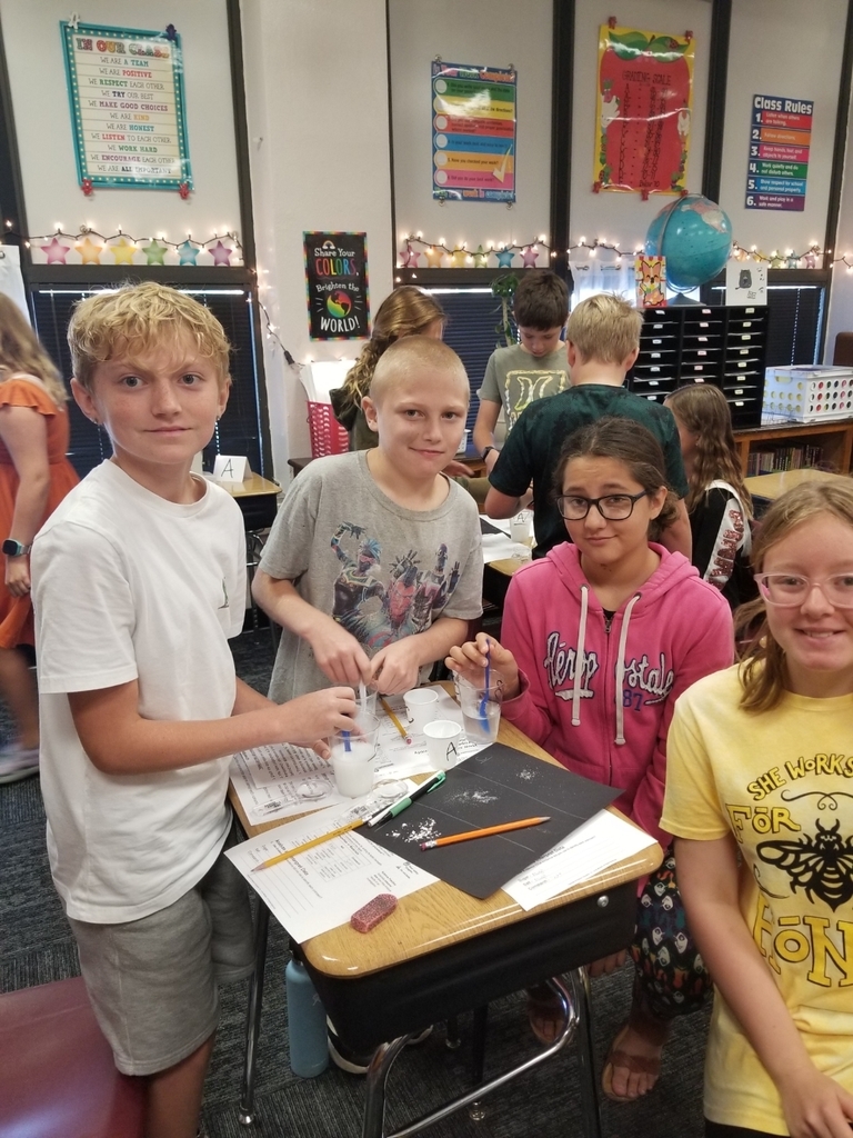 Science activity